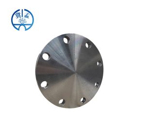 DIN Blind Flange--JIMENG