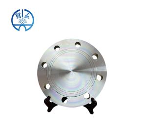 ANSI B 16.5 Blind Flange--JIMENG